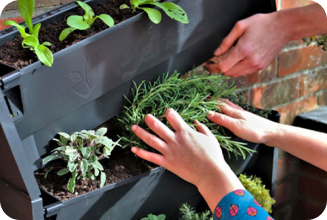 Biophilic-shop